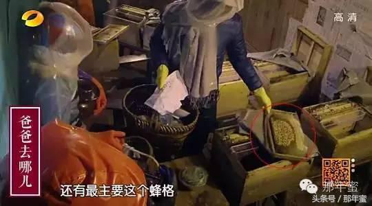 又嚼又舔，小编为你肉~身~亲~测~这个玩意