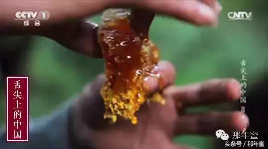 又嚼又舔，小编为你肉~身~亲~测~这个玩意