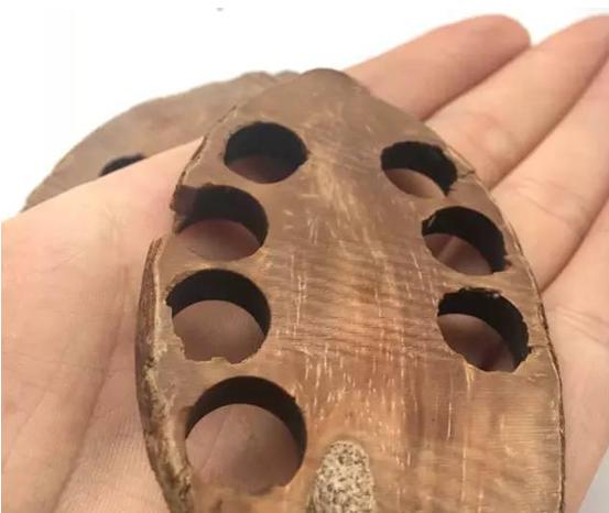 库克纯肉手串,库克手串啥做的