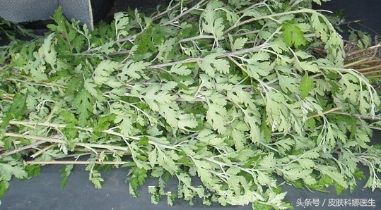 妇科宫寒常用中草药,妇科湿疹治疗用什么药膏