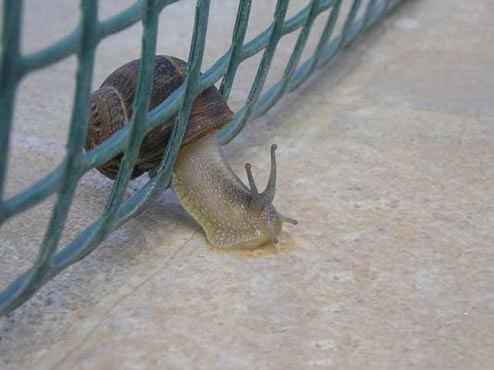 推拉门里面卡东西推不动了,厨房推拉门吊轨推不动怎么修