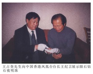 全球最稀缺珍贵的陨石图片与价格,迄今为止发现最珍贵的陨石