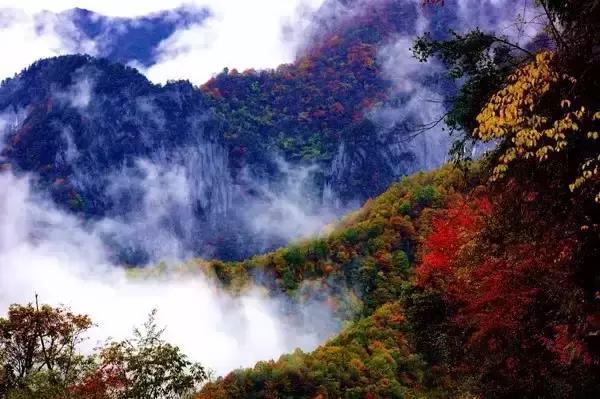 中国十大洗肺圣地,洗肺的地区有哪些