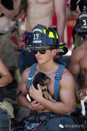 爱狗的人可爱吗 (真正爱狗的人的长相)