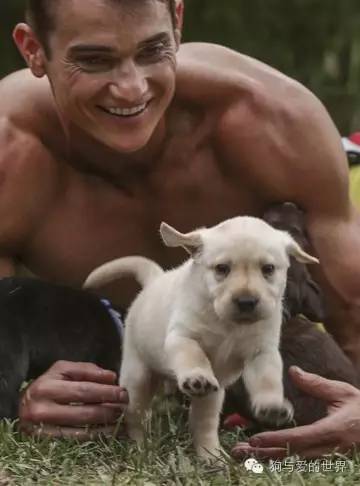 爱狗的人可爱吗 (真正爱狗的人的长相)