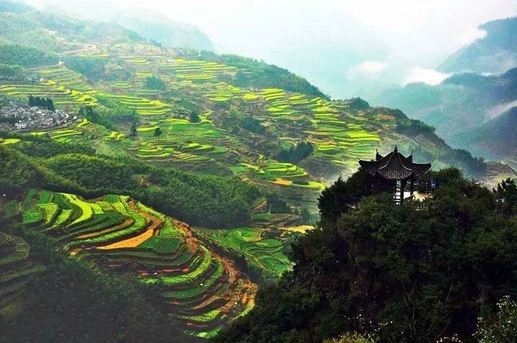 比起诗和远方我更喜欢有你的地方,这辈子总要去一趟丽水