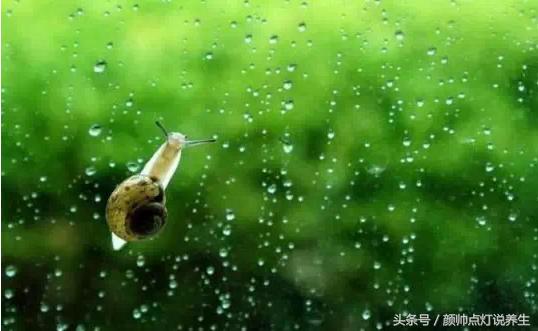 秋冬季节为什么特别干燥,天气湿热导致的湿疹怎么处理