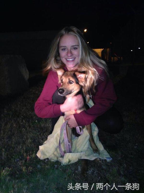 流浪狗被撞断后腿,流浪狗断了一条腿被宠物医生救下