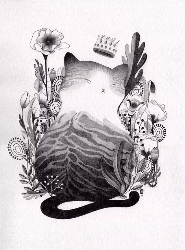 插画魔卡少女樱,插画少女和猫图片