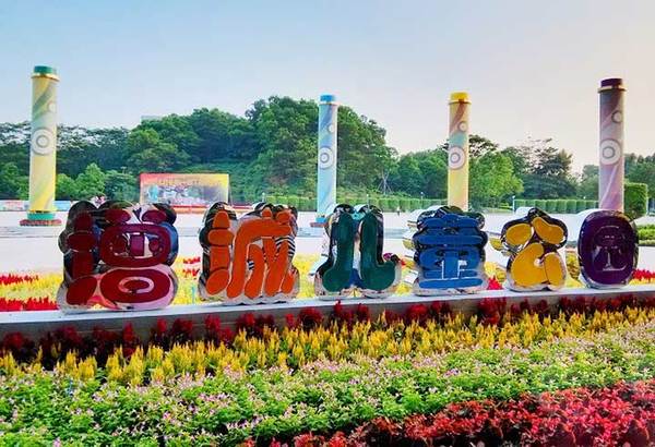 厉害了word哥,厉害了word哥视频