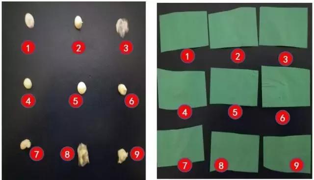 欧舒丹护手霜哪种好用,女士护手霜欧舒丹小样