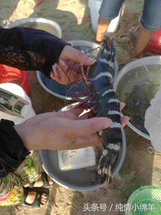 从南走到北有滋有味,从南到北有趣的灵魂