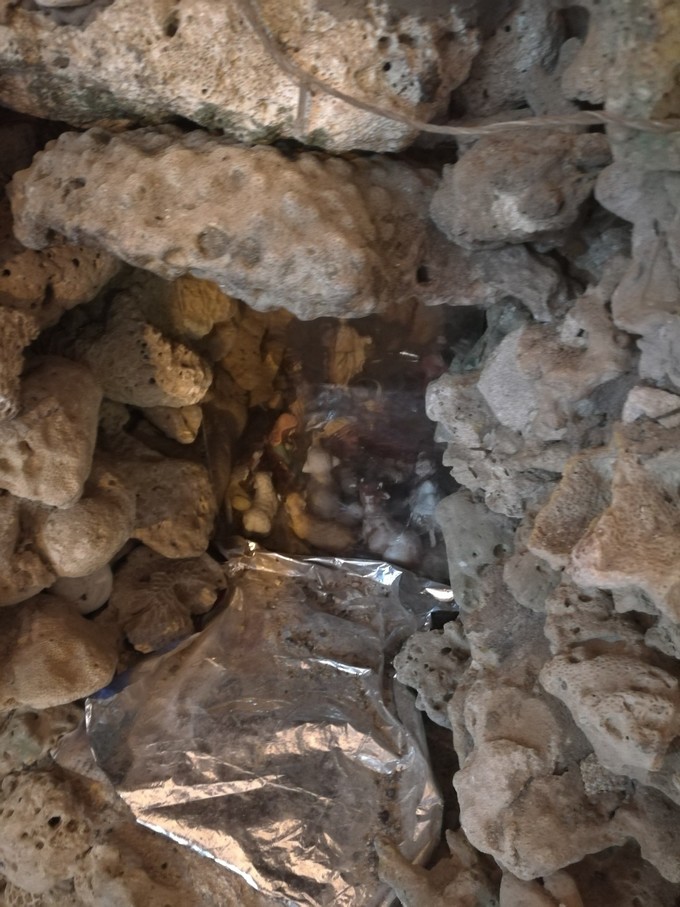 从广州一路向北旅游路线自驾游,一路向南涠洲岛