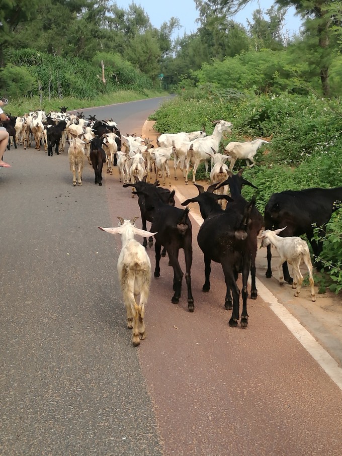 从广州一路向北旅游路线自驾游,一路向南涠洲岛