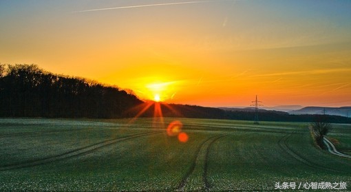 小二，来一碗毒鸡汤（你敢喝吗？）