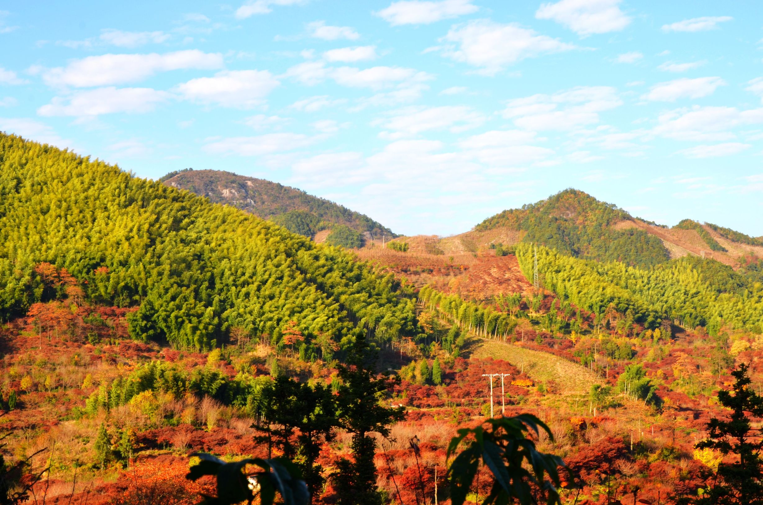 宁波周边秋季好去处,宁波秋季适合游玩的地方