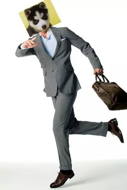 帮你“操翻”老板的装逼指南!