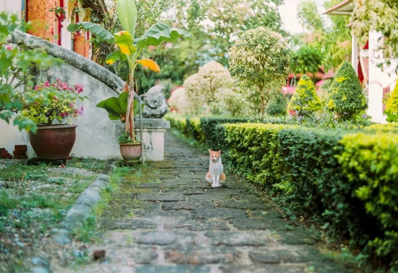 免签证出国需要什么手续,免签和落地签国家旅游推荐