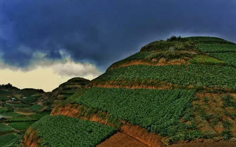 养鸡养羊还养生,德宏的这个地方,去了就不想走了!