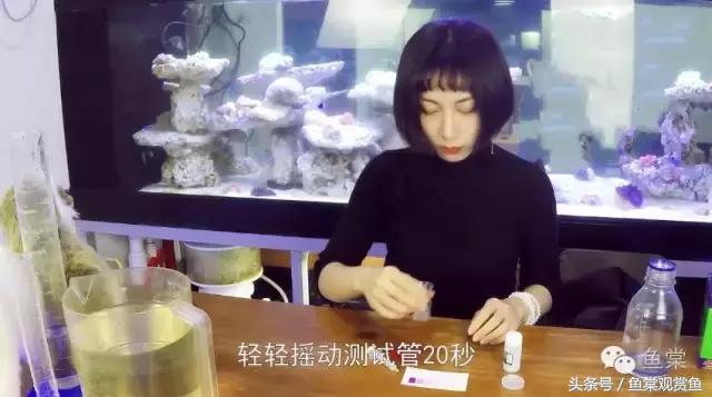 养鱼水质测试一般测试哪几种数值,新手养鱼水质怎么调理