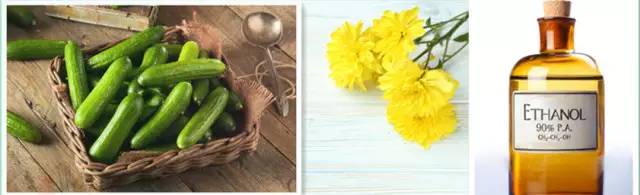 消灭蟑螂的好办法在家里就能解决,比蟑螂还难杀的虫