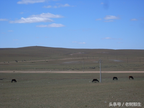 内蒙希拉穆仁草原风景视频,希拉穆仁大草原和内蒙古大草原
