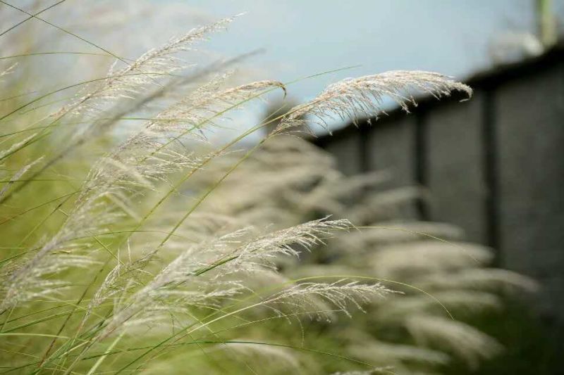 汉中美在何处,汉中算是全中国最漂亮的地方