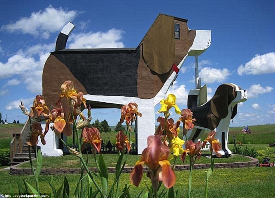 奇特！住在鞋子里的女人