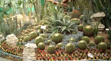 珠海一周游攻略,三天两夜珠海旅游攻略