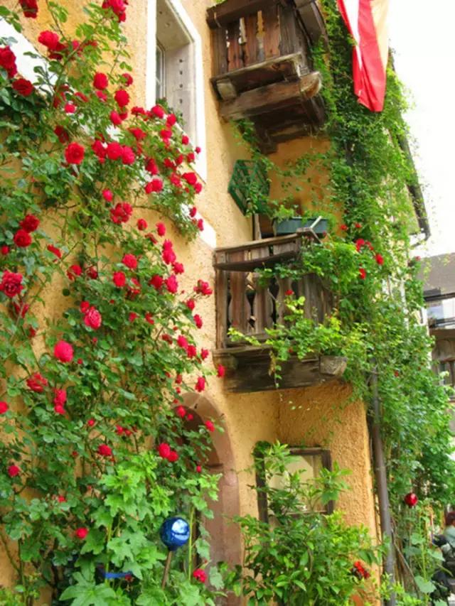 令人惊艳的欧洲小镇,最惊艳的欧洲小镇