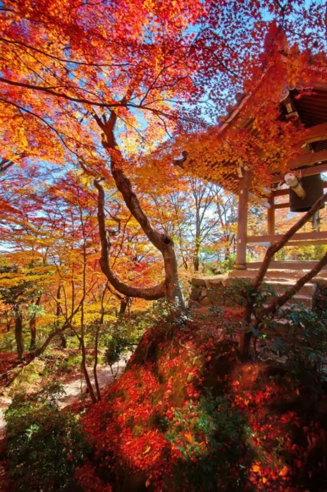 令人惊艳的欧洲小镇,最惊艳的欧洲小镇