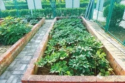 今日郑州2016年10月18日（农历丙申年九月十八星期二）