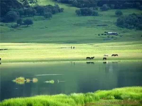 中国十大洗肺圣地,洗肺的地区有哪些