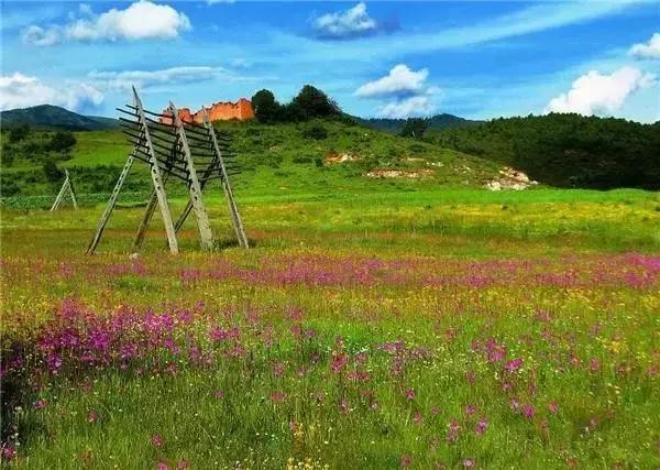 中国十大洗肺圣地,洗肺的地区有哪些