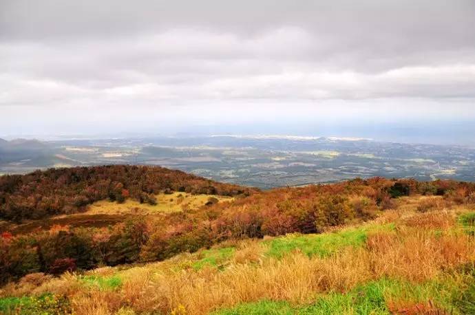 免签证出国需要什么手续,免签和落地签国家旅游推荐