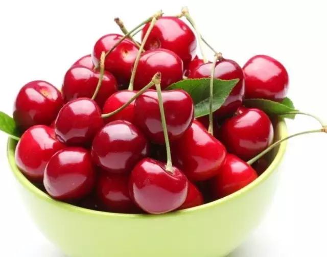 word哥经典剪辑,word哥wwe