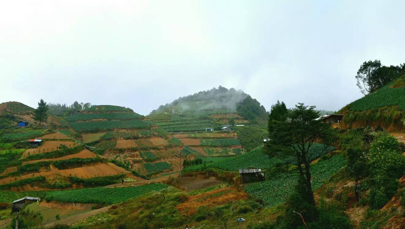 养鸡养羊还养生,德宏的这个地方,去了就不想走了!