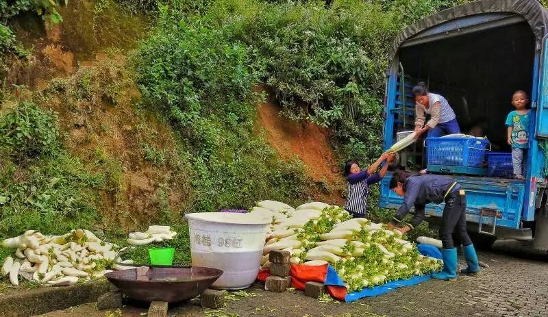 养鸡养羊还养生,德宏的这个地方,去了就不想走了!