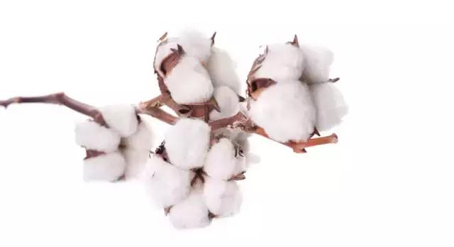 分分钟被圈粉！让所有妹子蓝瘦香菇的事，被他解决了