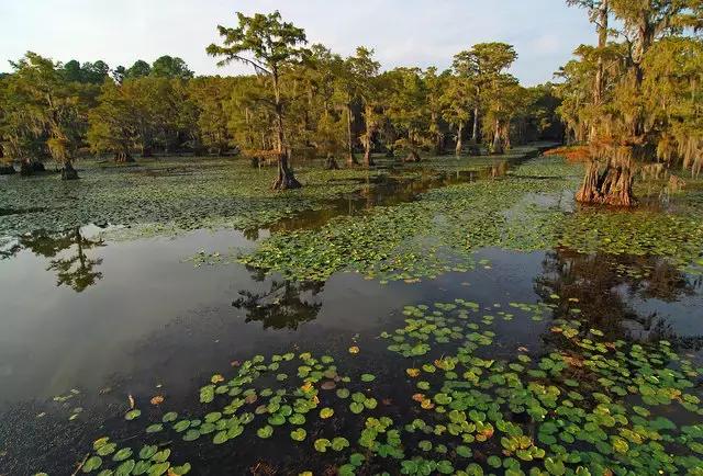 美国50大州排名,美国五十州排名