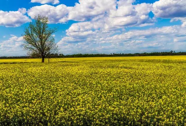 美国50大州排名,美国五十州排名