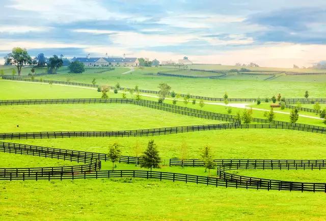 美国50大州排名,美国五十州排名