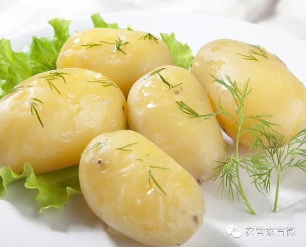 马铃薯上位第一年，薯农到底挣钱了吗（附最新马铃薯价格）