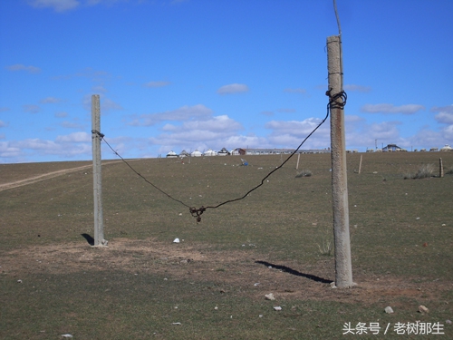 内蒙希拉穆仁草原风景视频,希拉穆仁大草原和内蒙古大草原