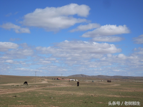 内蒙希拉穆仁草原风景视频,希拉穆仁大草原和内蒙古大草原