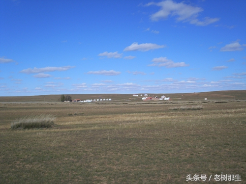内蒙希拉穆仁草原风景视频,希拉穆仁大草原和内蒙古大草原