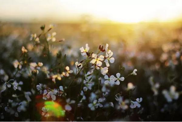 白带重要性是什么,白带是女性健康的重要标志