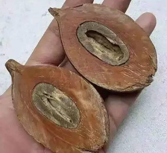 库克纯肉手串,库克手串啥做的