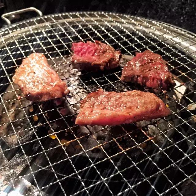 日本北海道自由行7天费用,日本北海道五天自由行攻略