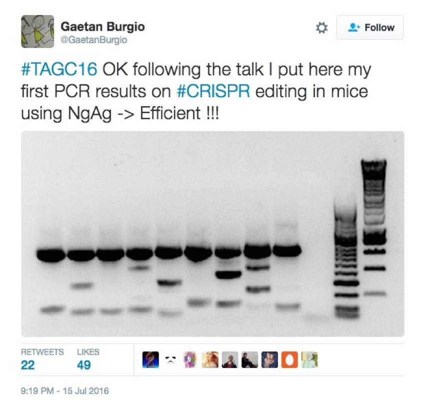 韩春雨采访完整视频,韩春雨谈自然